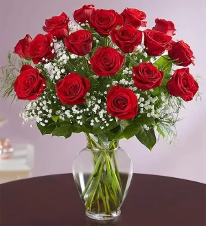 Rose Elegance Premium Long Stem Red Roses